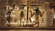 Мумии животных и их тайны / Ratselhafte Hundemumien / The Secret of the Animal Mummies (2019)