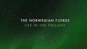 Норвежские фьорды. Мир чудес / The Norwegian Fjords - Life in the Twilights (2018)