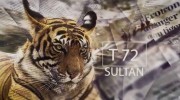 В поисках Султана / Looking for Sultan (2017)