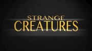 Необычные существа / Strange Creatures Of The Batangas Sea (2017)