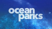 Океанские парки 3 серия. Национальный морской заповедник Монтерей Бей / Ocean Parks (2017)
