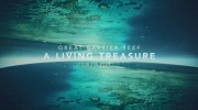 Большой Барьерный риф: Живое сокровище (1-4 серии из 4) / Great Barrier Reef: A Living Treasure (2020)