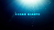 Морские гиганты (1-3 серии из 3) / Ocean Giants (2011)