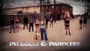На свободу с питбулем 3 сезон (1-12 серии из 12) / Pit Bulls and Parolees (2011)