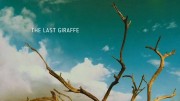 Последний жираф / The Last Giraffe (2018)