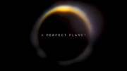 Идеальная планета (1-5 серии из 5) / A Perfect Planet (2021)