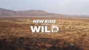 Дикие детишки 2 серия. Усана - детеныш гепарда / New Kids in the Wild (2021)