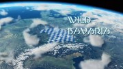 Дикая природа Баварии 1 серия. Рожденные во льдах / Wild Bavaria (2019)