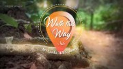 Следуй за мной (1-6 серии из 6) / Walke Thies Way (2019)