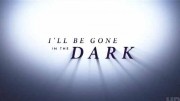 Я исчезну во тьме 1 сезон (все серии) / I'll Be Gone in the Dark (2020)