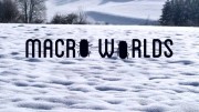 Макро миры 02 серия. Долина ужасов. Насекомые убийцы / Macro Worlds (2017)