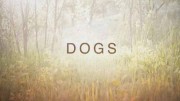 Собаки 2 сезон (все серии) / Dogs (2021)