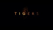 Тигры: Охота на браконьеров / Tigers: Hunting the Traffickers (2020)