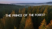 Лесная принцесса / The Prince of the Forest (2020)