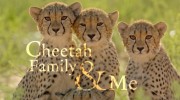 Семейка Гепардов и Я / Cheetah Family & Me (2021)