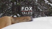Истории о лисах / Fox Tales (2017)