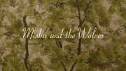 Миша и волки / Misha and the Wolves (2021)