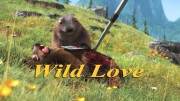Дикая любовь / Wild Love (2018)