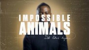 Невозможные животные 3 серия. Побережье / Impossible Animals: with Patrick Aryee (2021)