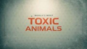 Самые ядовитые животные мира 2 серия. Леса и луга / World's Most Toxic Animals (2021)