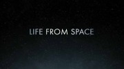 Жизнь, пришедшая из космоса 1 серия. Астероиды и метеориты / Life from space (2021)
