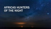 Африканские ночные охотники / Africa's Hunters of the Night (2020)