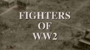 Истребители Второй мировой войны / Fighters of WWII (2017)
