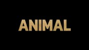 Удивительные животные 2 серия. Собаки / Animal (2021)