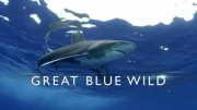 Великая синяя бездна 1 сезон (все серии) / Great Blue Wild (2015)