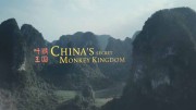 Тайное обезьянье царство в Китае / China's Secret Monkey Kingdom (2020)