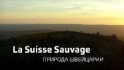 Природа Швейцарии 2 серия. Зима в Граубюндене / La Suisse sauvage (2020)