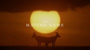 Брачная Игра 1 серия. Луга: на виду / The Mating Game (2021)