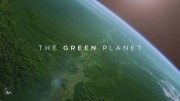 Зелёная планета 1 серия. Тропические миры / The Green Planet (2022)