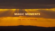 Волшебные мгновения. Магия природы / Magic Moments – The Spell of Nature (2020)
