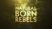 Прирождённые бунтари (все серии) / Natural Born Rebels (2018)