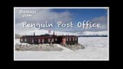 Мир природы. Пингвинья почта / Natural World. Penguin Post Office (2015)