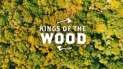 Короли Леса (все серии) / Kings of the Wood (2022)