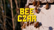 Пчeлиный кoрoль (все серии) / Bee Czar (2022)
