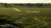 Окаванго. Поток жизни / Okavango. A Flood of Life (2021)