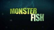 Рыбы-чудовища (все серии) / Monster Fish (2009-2018)