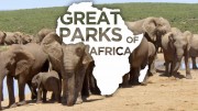 Великие парки Африки 1 сезон (все серии) / Great Parks Africa (2016)
