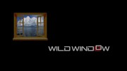 Окно дикой природы - Взгляд в глубину / Wild Window: Beneath the Sea (2018) UHD