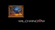 Окно дикой природы: Киты / Wild Window: Whales (2017) UHD