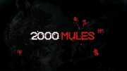 2000 мулов / 2000 Mules (2022)