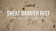 Большой Барьерный риф. Следующее поколение / Great Barrier Reef: The Next Generation (2021)