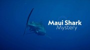 Загадка акул Мауи / Maui Shark Mystery (2022)