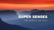 Уникальные способности животных / Super Senses: The World we Miss (2022)